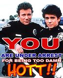 underarrest.jpg image by insideadream